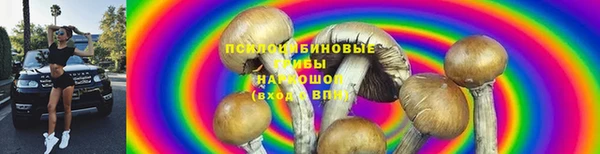 шишки Белоозёрский