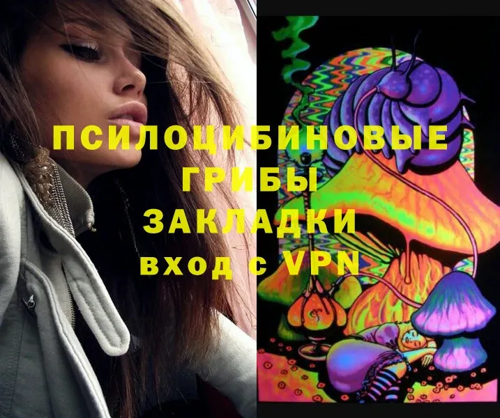 Псилоцибиновые грибы Magic Shrooms  где купить   Павлово 